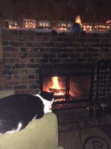 cat enjoying fireplace