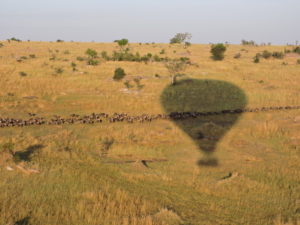 serengeti-hot-air-balloon-migration-2